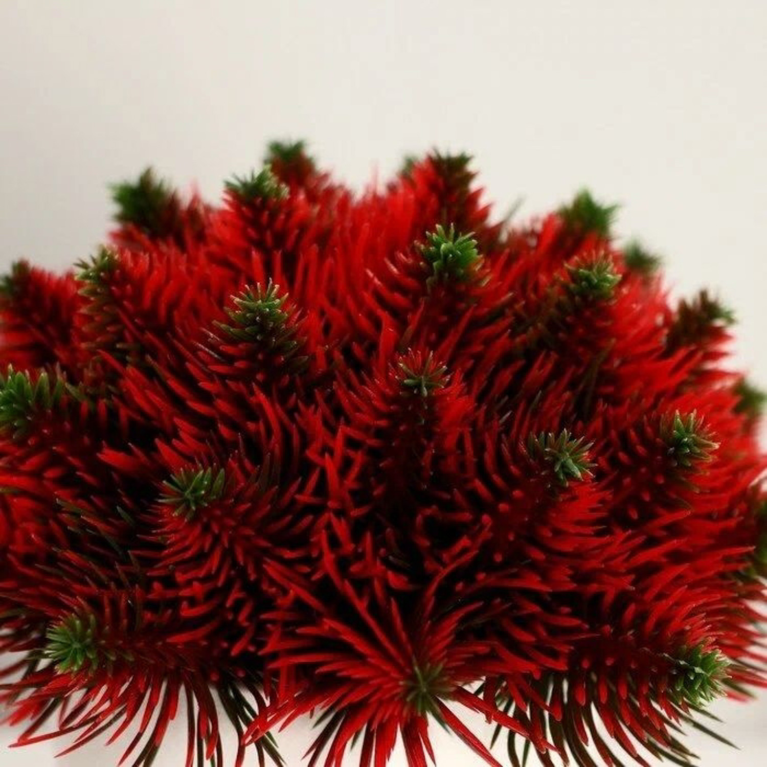 Бонсай "Пышные веточки" 8х15 см микс  4736473