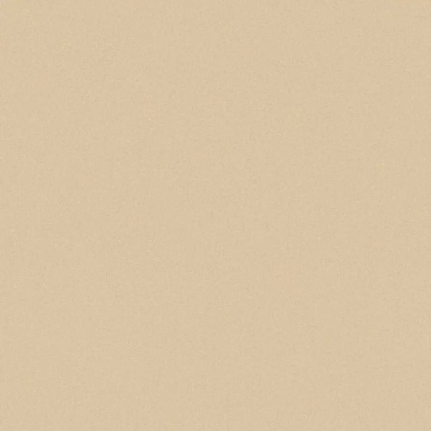 Обои флиз "WallSecret Comfort" 8779-19  10*1,06м *6