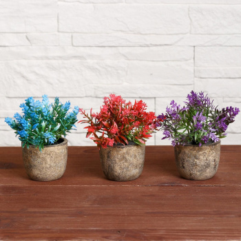 Бонсай "Седум" 6*10 см, микс   4293933