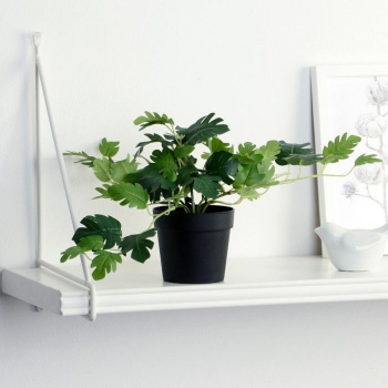 Бонсай в горшке "Герань душистая" 18х17 см,    9499359