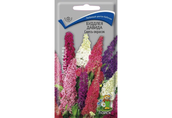 Семена Буддлея Давида Смесь окрасок 10шт ПОИСК *10/200 Семена Буддлея Давида Смесь окрасок 10шт ПОИСК *10/200