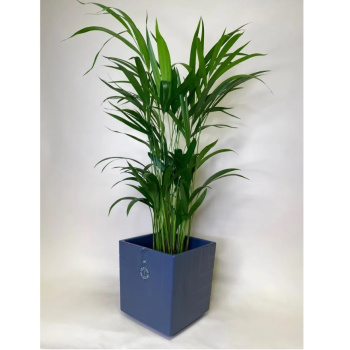 Кашпо пластм. "Квадро" 6,6л 200х200мм h200мм со вставкой Антрацит КВ20-12 *1/6