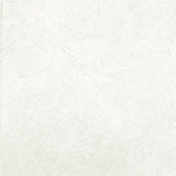 Обои флиз. "Эрисманн" Profi Deco Maison фон (беж.) 60846-02 10.05х1.06м *6