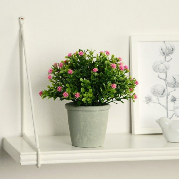 Бонсай в горшке "Цветочная симфония" 8х17 см, микс  9750528