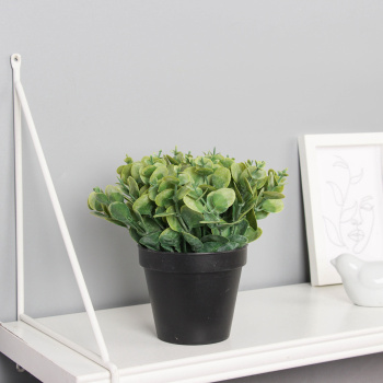 Искусственный цветок в горшке «Цветок монетчатый», 10×16 см, зелёный