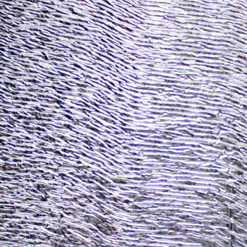 Утеплитель Изолар ЛМ 05, 5 мм, 1 м