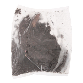 Пион молочноцветковый Аннамике 1шт