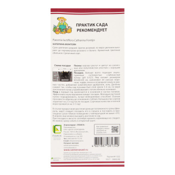 Пион молочноцветковый Катерина Фонтейн 1шт