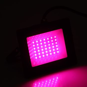 Фитопрожектор светодиодный Smartbuy, 30 В, фиолетовый свет, IP65