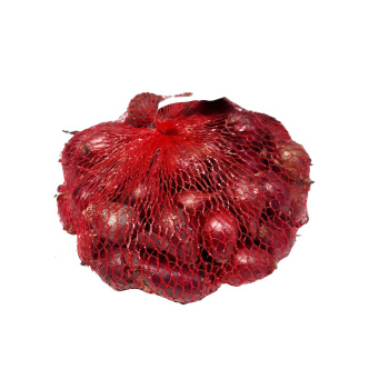 Лук-севок  Ред Барон (21/24)  0,5кг +/-10% Франция