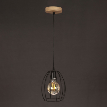 Светильник подвесной IL1011-1P-05 BK 40Вт Е27 S=6м2  *1