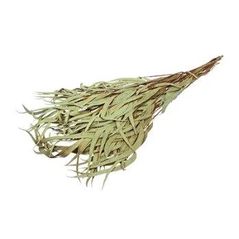 Веник эвкалиптовый "Hot Pot" в уп. /50 Веник эвкалиптовый "Hot Pot" в уп. /50