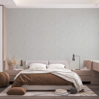 Обои флиз "AS Палитра" Аспект Фрейм (сер.) 70693-41 1,06*10м *1/6