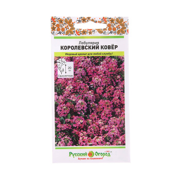 Семена Лобулярия Королевский ковер 0,08гр Русский огород *10/200